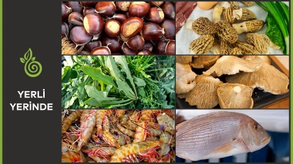 Yerli Yerinde Gastronomi Belgeseli