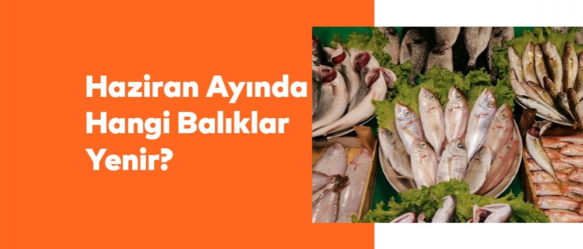 Haziran Ayında Hangi Balıklar Yenir?