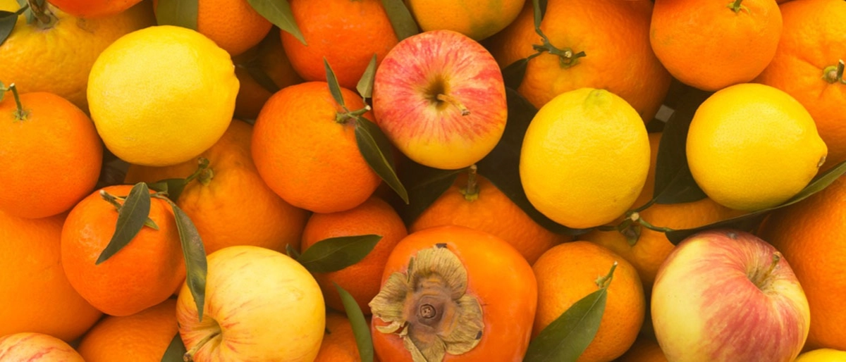 Kasım Ayı Meyveleri Nelerdir?