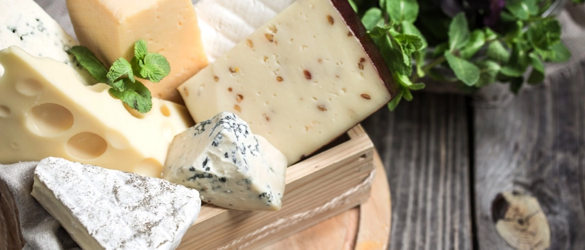 Farklı Sütlerden Farklı Peynirlere