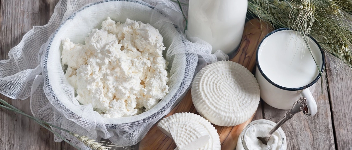 Sütün Armağanı Peynir