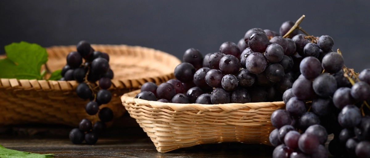 Siyah Üzüm Faydaları Nelerdir?