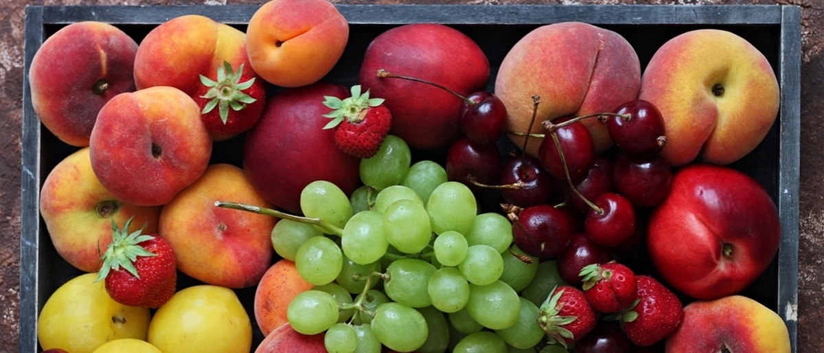 Temmuz Ayı Meyveleri Nelerdir?