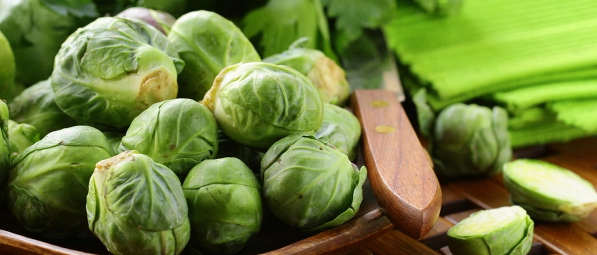 Brüksel Lahanası Faydaları Nelerdir?