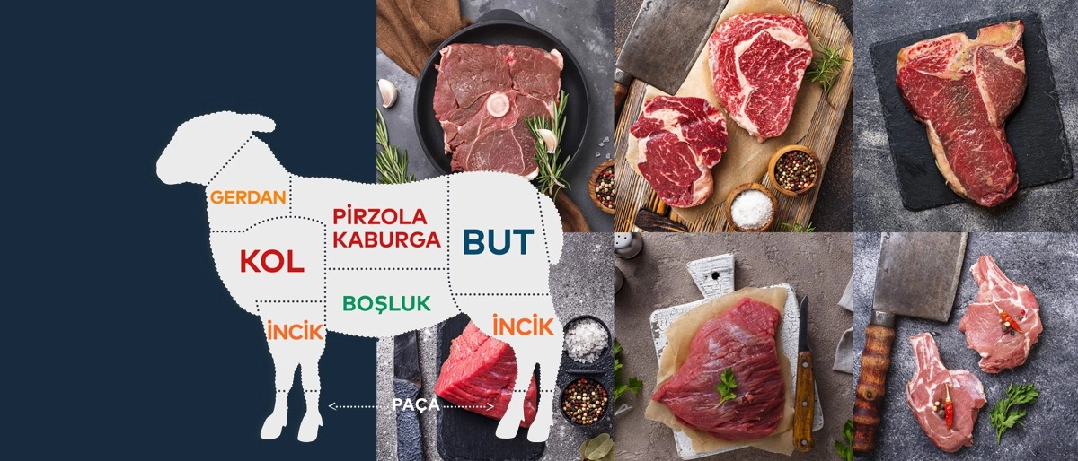 Kuzu ve Koyun Eti Özellikleri