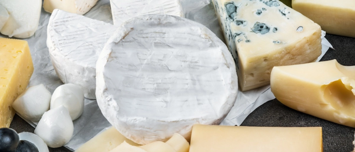 Peynir Yapımının Temelleri