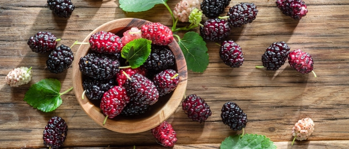 Dut Faydaları Nelerdir?