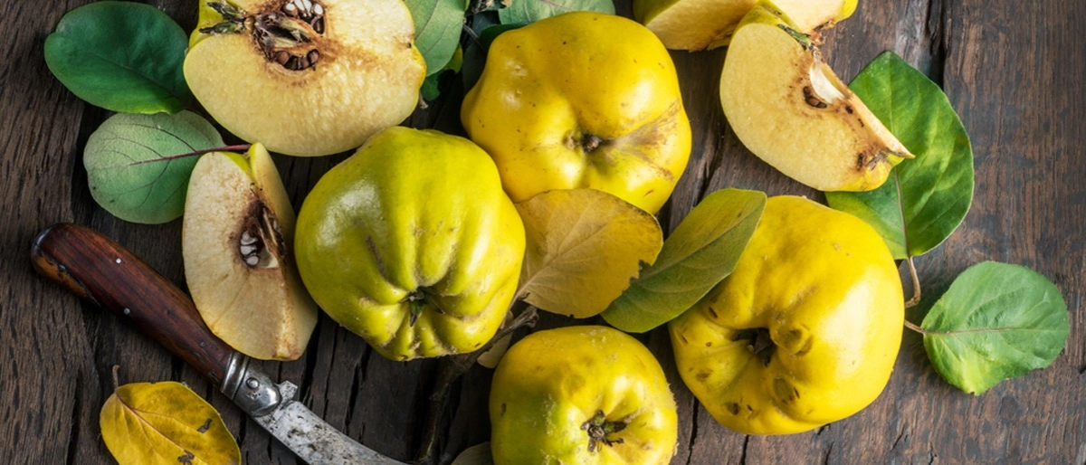 Ayva Faydaları Nelerdir?