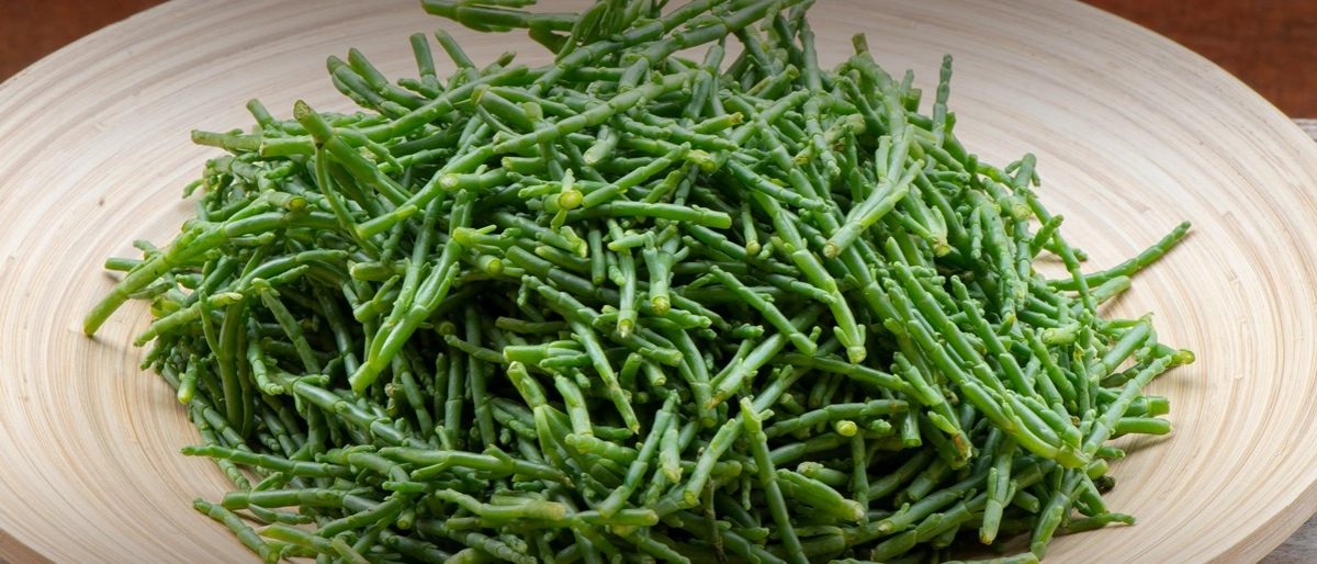 Deniz Börülcesi Nasıl Ayıklanır?