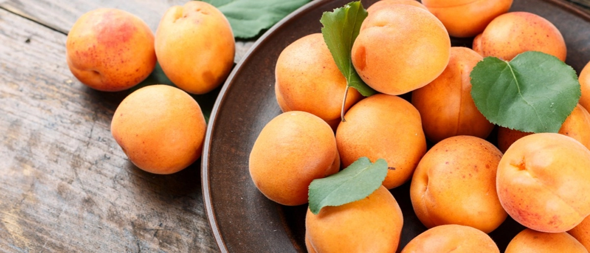 Kayısı Faydaları Nelerdir?