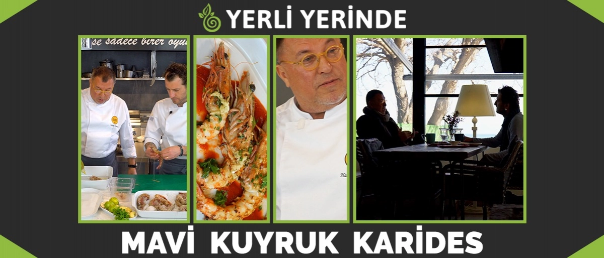 Yerli Yerinde 4.Bölüm: Mavi Kuyruklu Karides