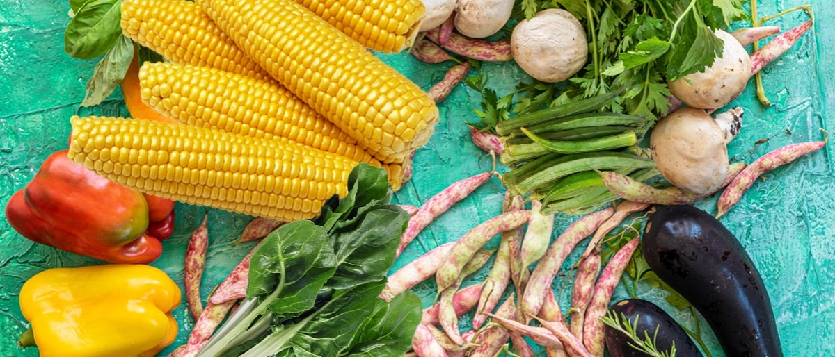 Eylül Ayı Sebzeleri Nelerdir?