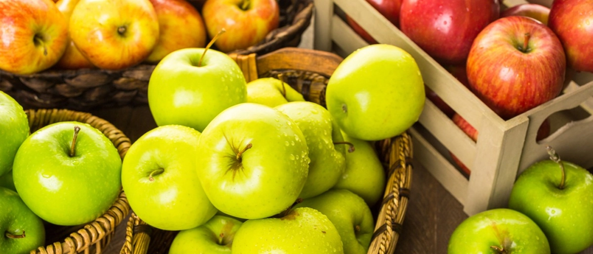 Elma Faydaları Nelerdir?