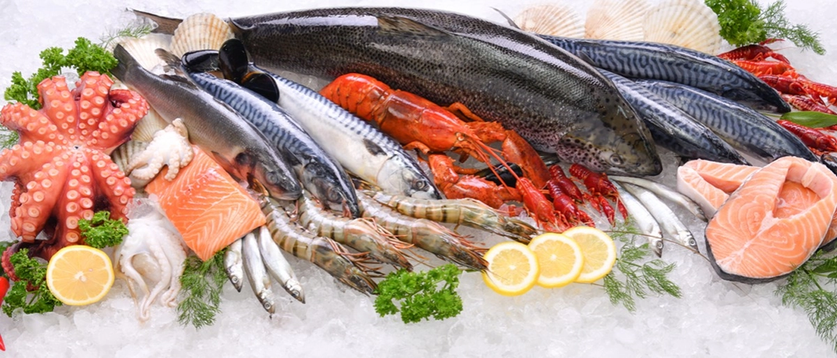 Hangi Balık Hangi Mevsimde Yenir?