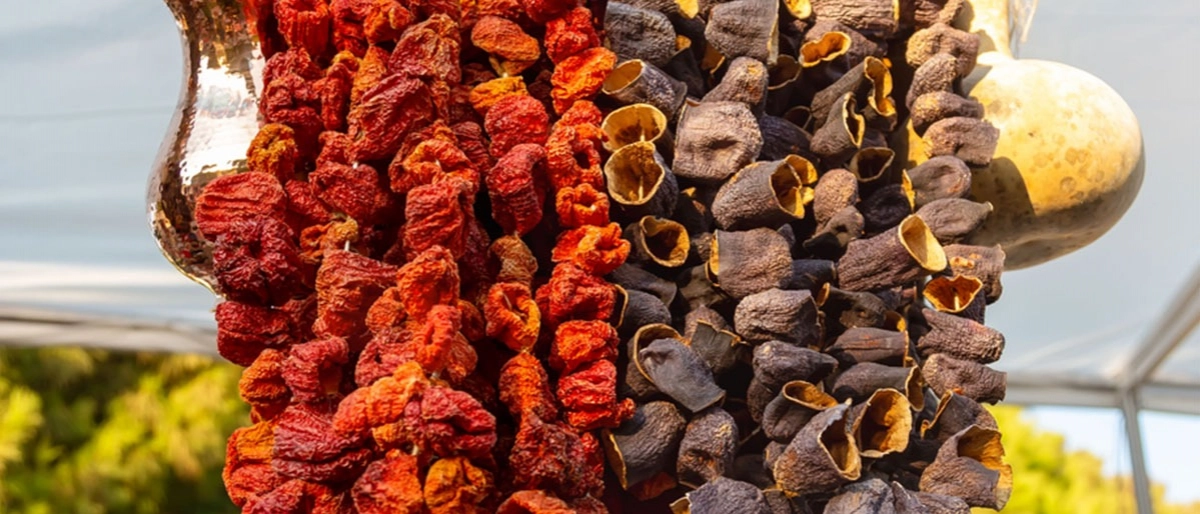 Kurutulmuş Dolmalık Biber ve Patlıcan