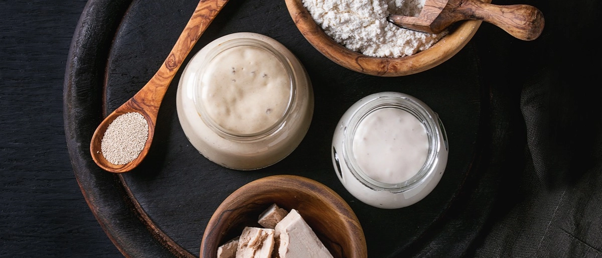 Ekşi Maya Nasıl Beslenir?