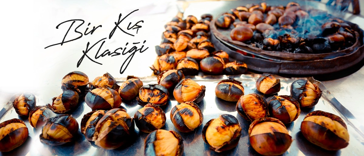 Gerçek BİR KIŞ KLASİĞİ “Kestane”