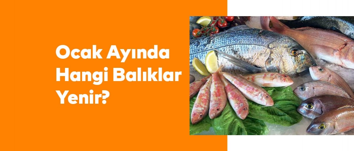 Ocak Ayında Hangi Balıklar Yenir?