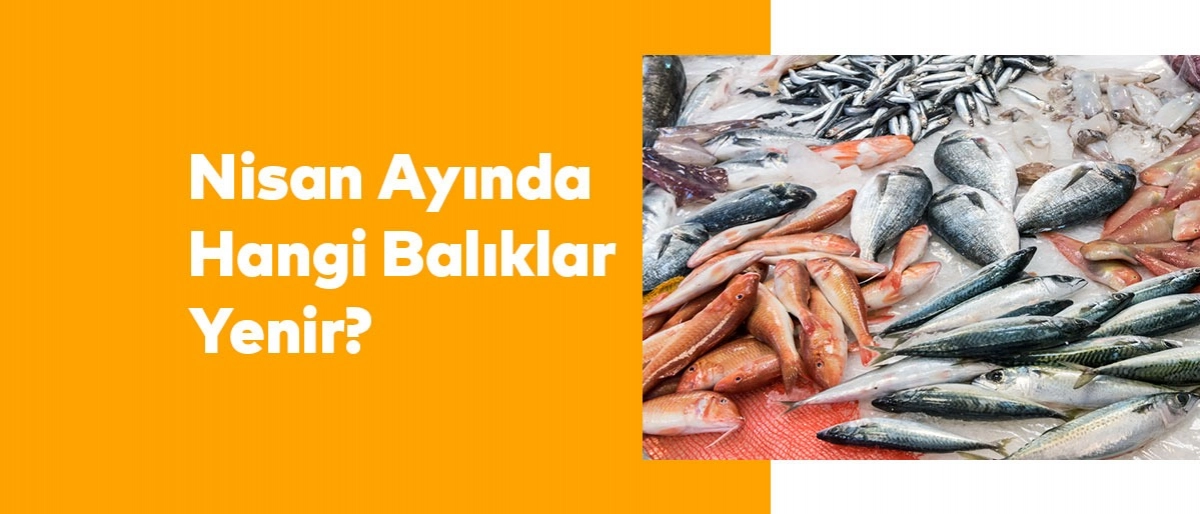 Nisan Ayında Hangi Balıklar Yenir?