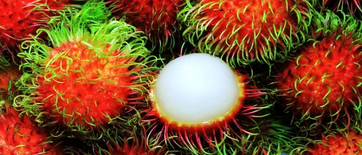 Dünyanın En İlginç Meyveleri!