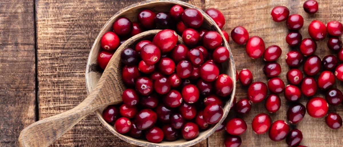 Kızılcık Faydaları Nelerdir?