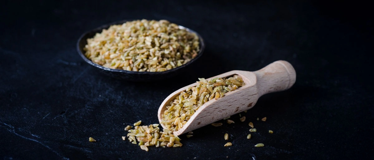 Firik Bulguru Nedir?