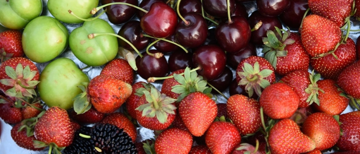 Mayıs Ayı Meyveleri Nelerdir?