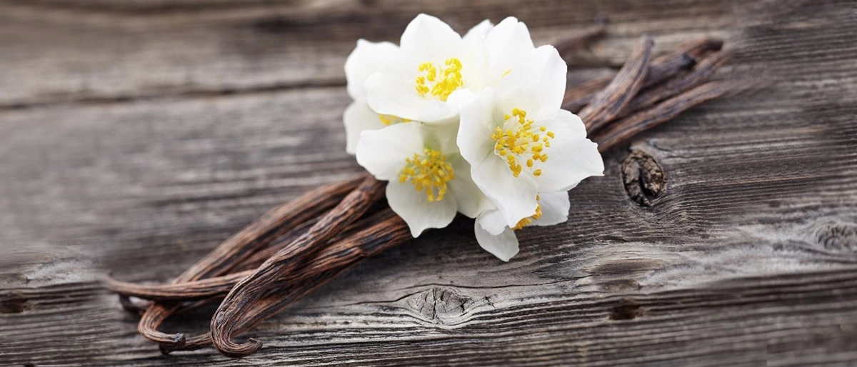 Vanilya Çubuğu Nasıl Kullanılır?