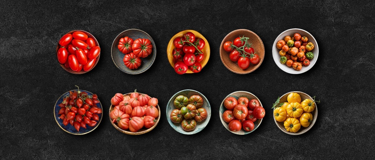 Dünyanın En İyi 10 Domates Çeşidi