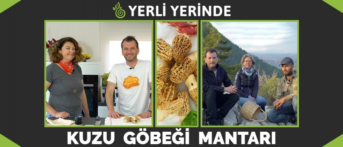 Yerli Yerinde 5.Bölüm: Kuzu Göbeği Mantarı