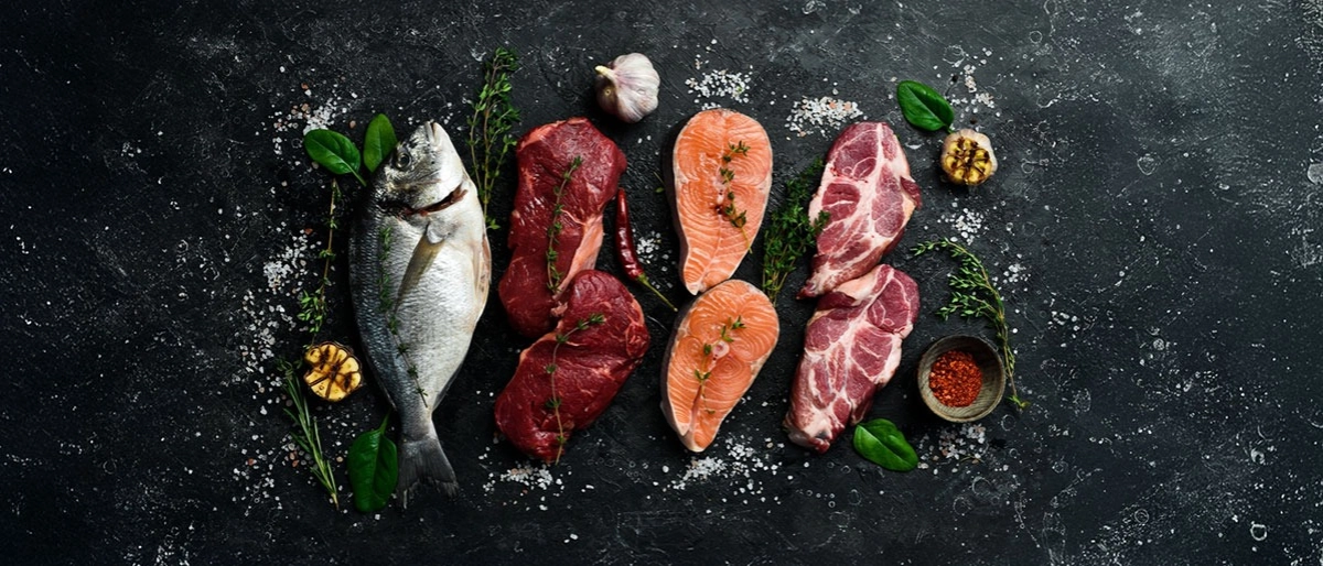 Carnivore Diyeti Nedir?