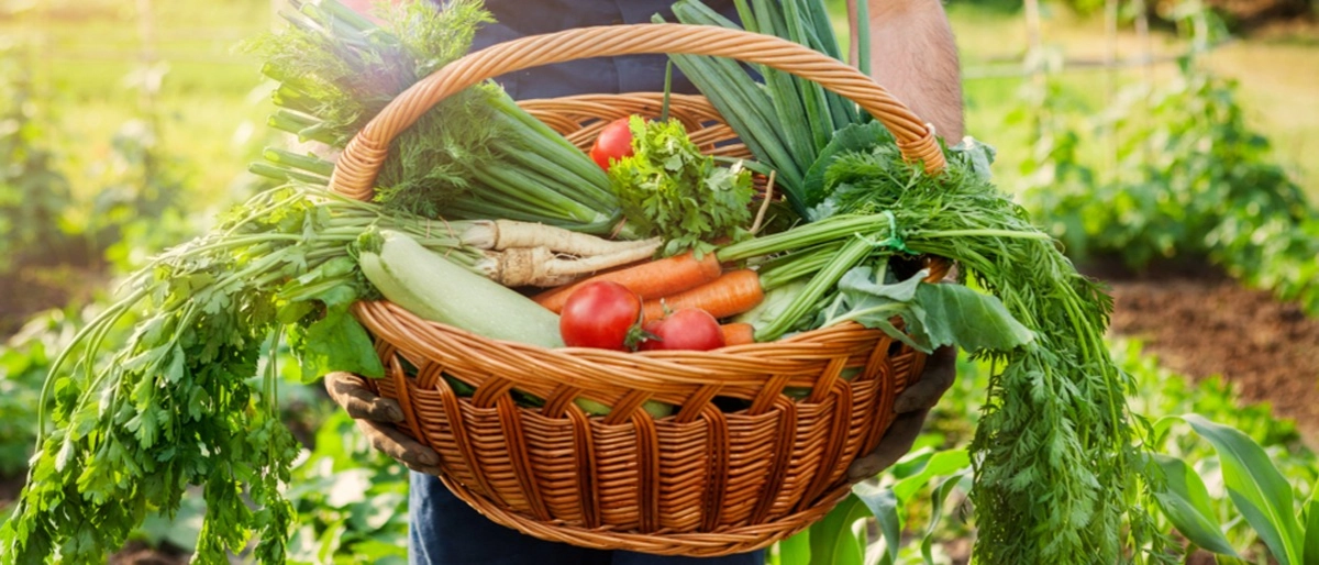 Sürdürülebilir Beslenme Nedir, Nasıl Uygulanır?