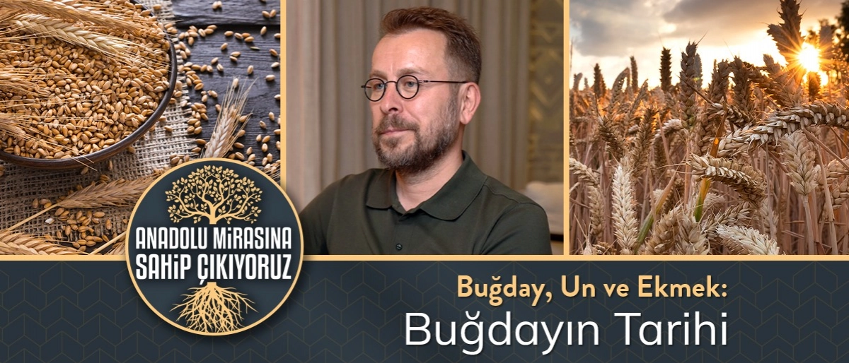 Buğdayın Tarihi
