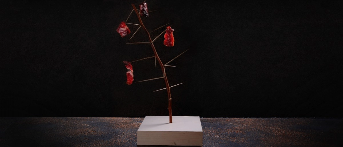 Kurutulmuş Et Tekniği Nedir?