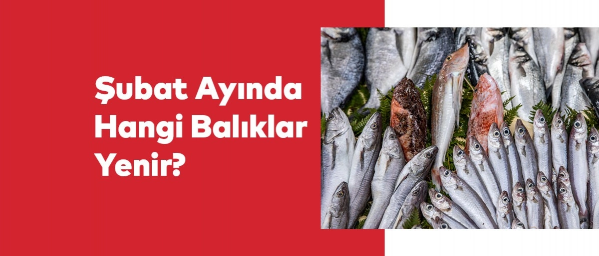 Şubat Ayında Hangi Balıklar Yenir?