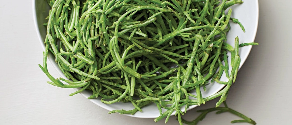 Deniz Börülcesi Faydaları Nelerdir?