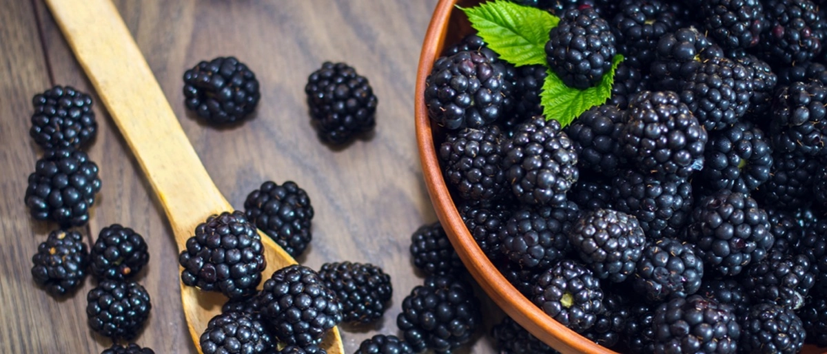 Böğürtlen Faydaları Nelerdir?