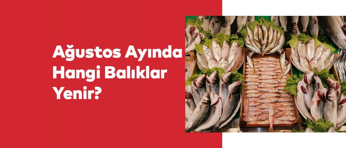 Ağustos Ayında Hangi Balıklar Yenir?