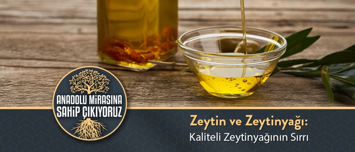 Kaliteli Zeytinyağının Sırrı