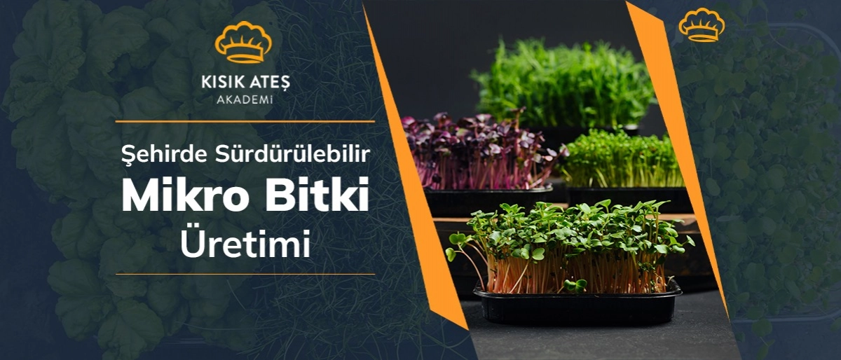 Şehirde Sürdürülebilir Mikro Bitki Üretimi