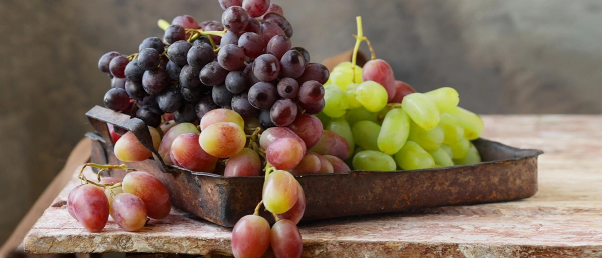 Üzüm Faydaları Nelerdir?