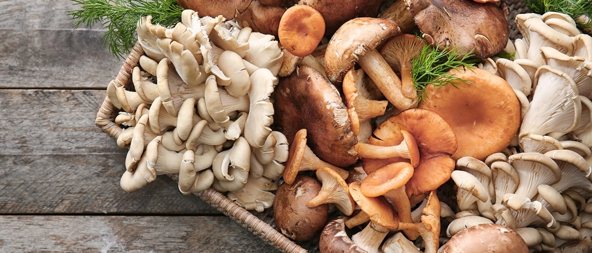 Mantar Nasıl Soyulur ve Kararması Nasıl Önlenir?