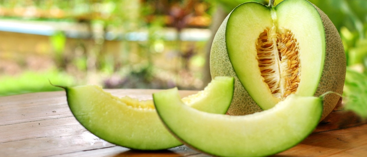Kavun Faydaları Nelerdir?