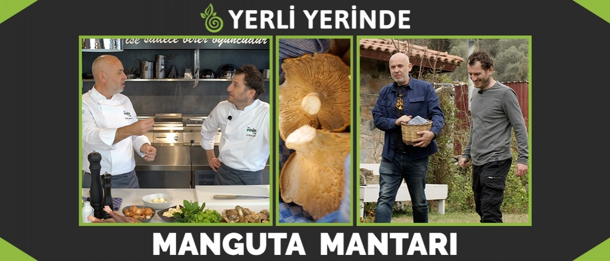 Yerli Yerinde 3.Bölüm: Manguta Mantarı