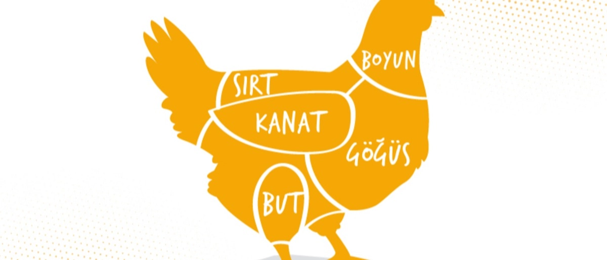 Kümes Hayvan Etlerinin Yapısı, Bölümleri ve Tazeliğini Anlamak