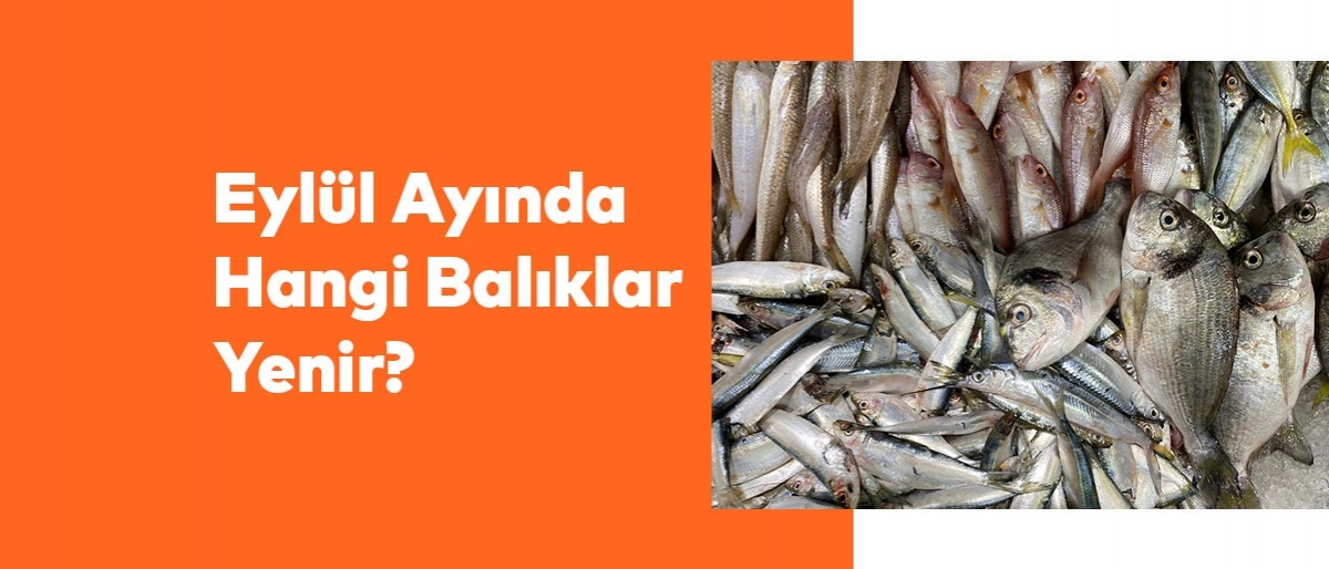 Eylül Ayında Hangi Balıklar Yenir?