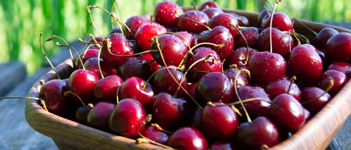 Kiraz Faydaları Nelerdir?