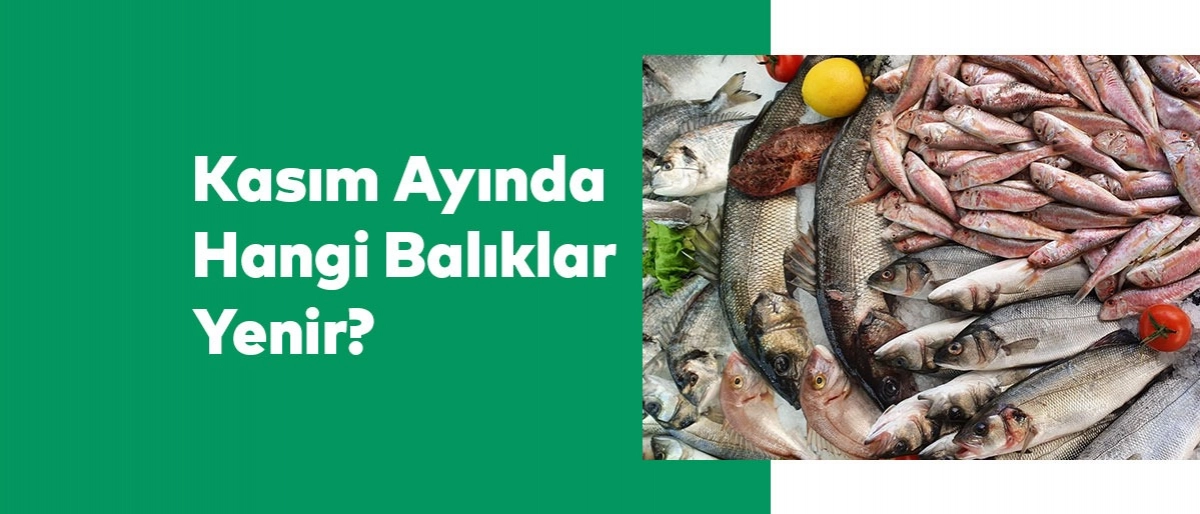 Kasım Ayında Hangi Balıklar Yenir?