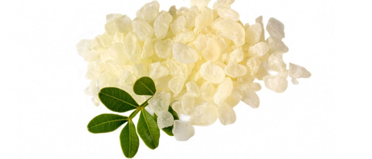 Akgünlük Sakızı Nedir?