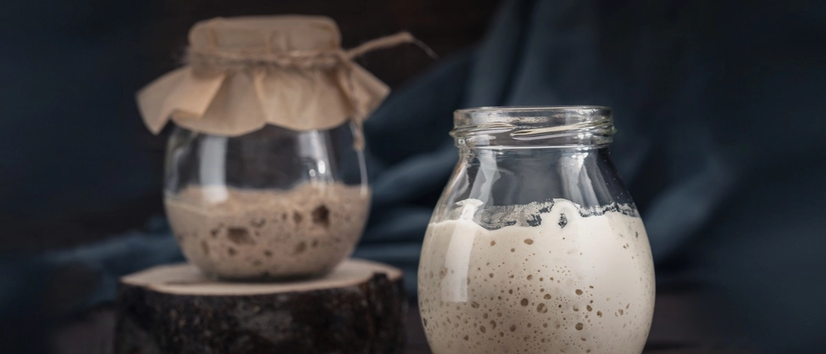 Ekşi Maya Nasıl Hazırlanır?